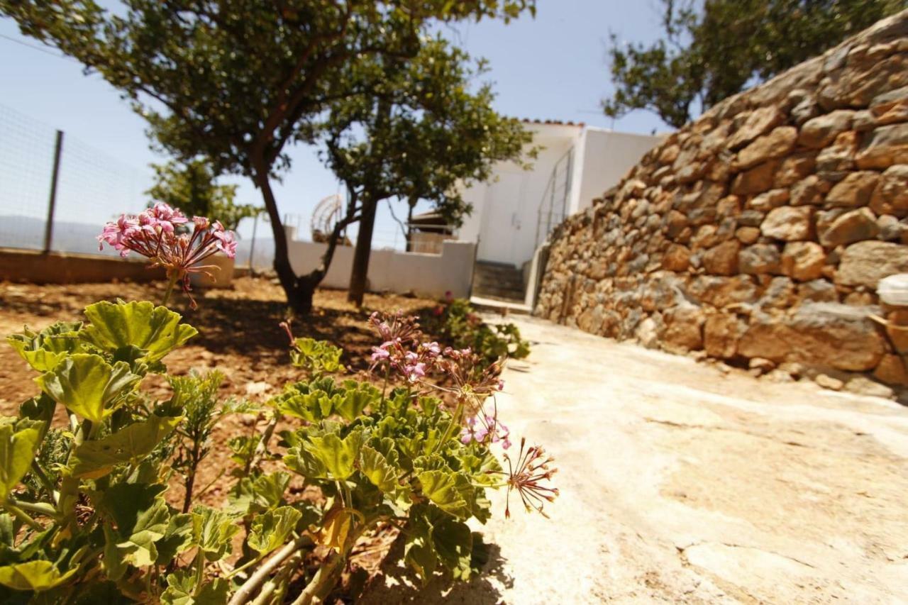 Villa Veranda Agios Nikolaos  Bagian luar foto